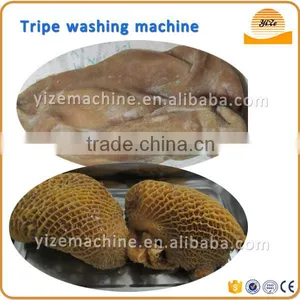 Cow Tripe Cleaning Machine / Tripe Washer With Best Price thumbnail-6
