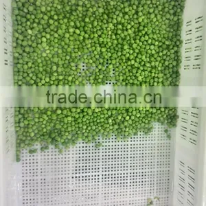 Frozen Green Pea thumbnail-5