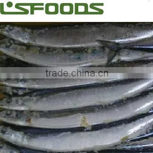 2015 Frozen Pacific Saury From China thumbnail-2