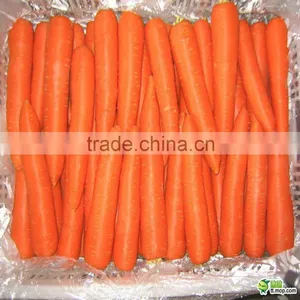New Fresh Carrot Harvester From China thumbnail-1