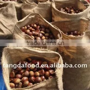 Cheap Sweet Chestnut,chinese Chestnut thumbnail-1