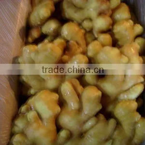 Small Ginger thumbnail-1