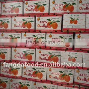 Well Selling Chinese Navel Orange thumbnail-1