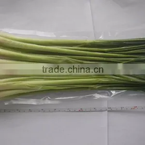 Frozen Lemongrass Whole thumbnail-3