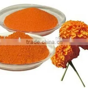 Lutein Powder /Xanthophyll/Marigold Extract/Marigold Extract Powder thumbnail-1