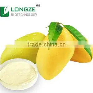 Bulk Supply Spray-dried Fruit Powder Mango Flavour Instant Powder Irvingia Gabonensis Juice Powder for Food and Beverage thumbnail-1