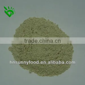 Factory Price Of Dry Onion Powder From China thumbnail-1