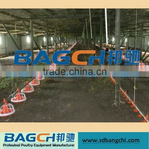 Automatic Poultry Equipment for Broiler Chicken thumbnail-1