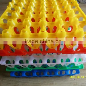 Best Quality Plastic Egg Tray for 30 Chicken Eggs thumbnail-1
