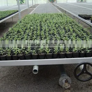 Anti-corrosion Seedbed for Greenhouse thumbnail-1
