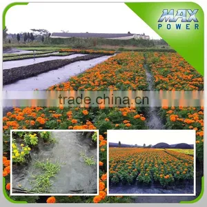 New Arrival Plastic Film Greenhouse Agriculture thumbnail-4