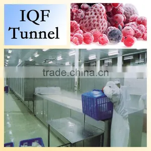 Zhejiang Food Machinery Manufacturer Fruit Tunnel Freezer Quick Freeze Machine thumbnail-6