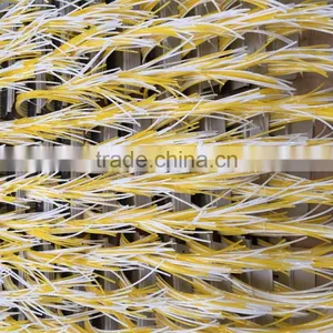 CCD Dried Fruits Optical Color Sorter Machine thumbnail-5