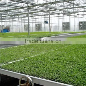 Polycarbonate Greenhouse Siding thumbnail-1