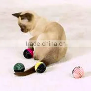 EVA Pet Balls/Rings thumbnail-6