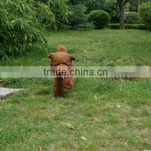 EVA Foam Ball Toy for Dog thumbnail-1