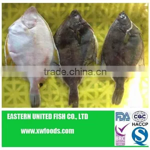 IQF Yellow Fin Sole Fillets thumbnail-1