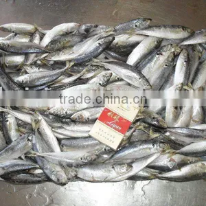 Frozen Horse Mackerel(BIG EYE) thumbnail-1