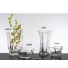 Clear Glass Vases thumbnail-1