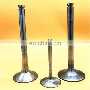 Loncin 100cc 300cc 150cc 200cc Motorcycle Bikes Parts Engine Valves Inlet Valve Exhaust Valve thumbnail-4