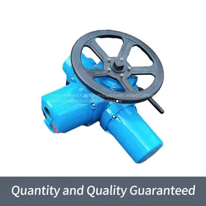 Bernard Multi-rotary Electric Actuator DZW10 Switch Type Valve Electric Device thumbnail-4
