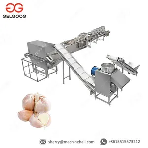 Garlic Paste Plant/Ginger Garlic Paste Making Machine Manufacturers thumbnail-1