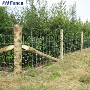 Australia Animals Security Fence Galvanized Field Wire Mesh for Sheep Deer Horse Hinge Joint Form Farm Wire Mesh thumbnail-2