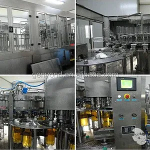 Small Capacity Hawthorn Juice/fresh Fruit Juice Production Line /plant /processing Line /equipment thumbnail-3