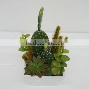 New Arrival Decorative Artificial Plants/ Succulent Plants Mixed Series thumbnail-2