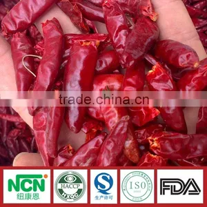 New Crop of Tianying Red Chilli thumbnail-1