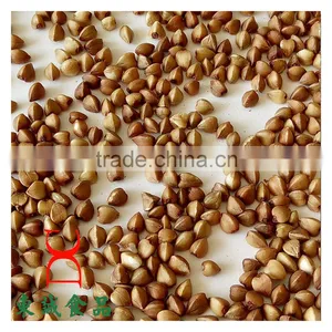 Roasted Buckwheat Organice Grains Wholesale thumbnail-6