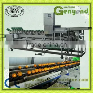 Vertical Fruit Grading Machine thumbnail-1