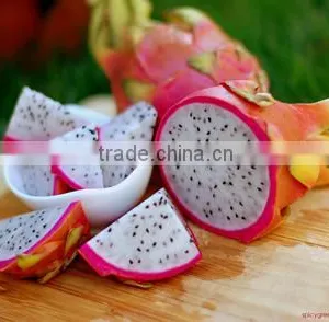 Fresh Dragon Fruit thumbnail-1