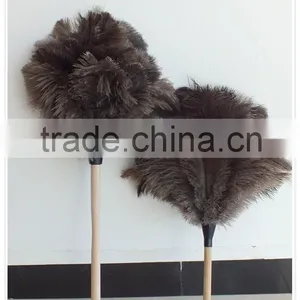 Ostrich Feather for Factory thumbnail-1