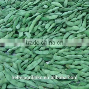 Frozen Soyabean, Frozen Type Fresh Soyabean thumbnail-3