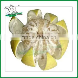 New Crop Fresh Honey Pomelo From Brother Kingdom thumbnail-1