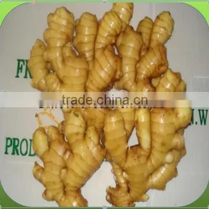 GINGER PRICE IN CHINA thumbnail-1