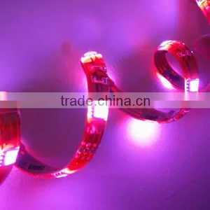 SMD 5050 LED Flex Strip Light 12-24V thumbnail-1