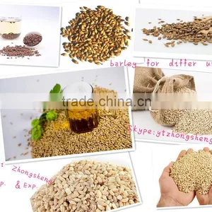 Bulk Container Supply of 2015 Crop Australian Beer Barley Hindmarsh thumbnail-3