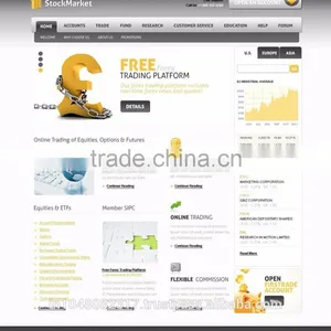 Website Design and Development thumbnail-4