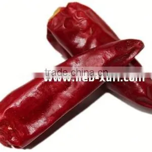 Dried Chili thumbnail-1