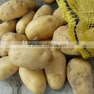 Chinese Potato thumbnail-1