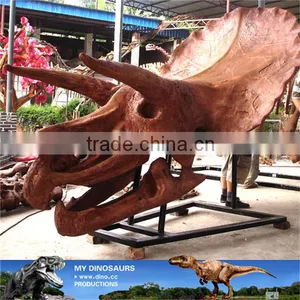 MY Dino-C087 Amusement Park Life Size Triceratops Skeleton thumbnail-2