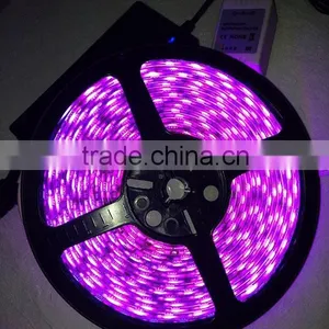 3014 Led Flexible Led Strips DC12 6W/12W Programmable Led Strip thumbnail-4