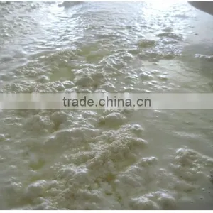 Cheese Processing Machinery thumbnail-2