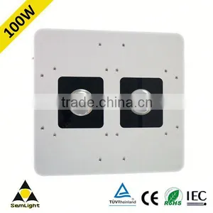 CE RoHS Led Lamp Cob Led Downlighting Factory 100W Led Gas Station Lamp thumbnail-1