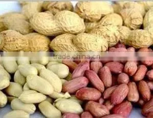 Blanched Peanut Kernel thumbnail-1
