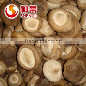 Frozen Shiitake Mushroom IQF Shiitake Mushrooms thumbnail-3