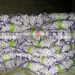 Excellent Chinese Pure White Garlic 2011 thumbnail-1