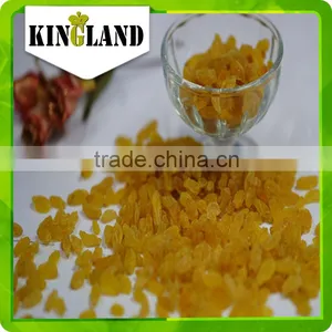 Wholesale All Types of Gold Raisin With Best Price and High Quality thumbnail-4